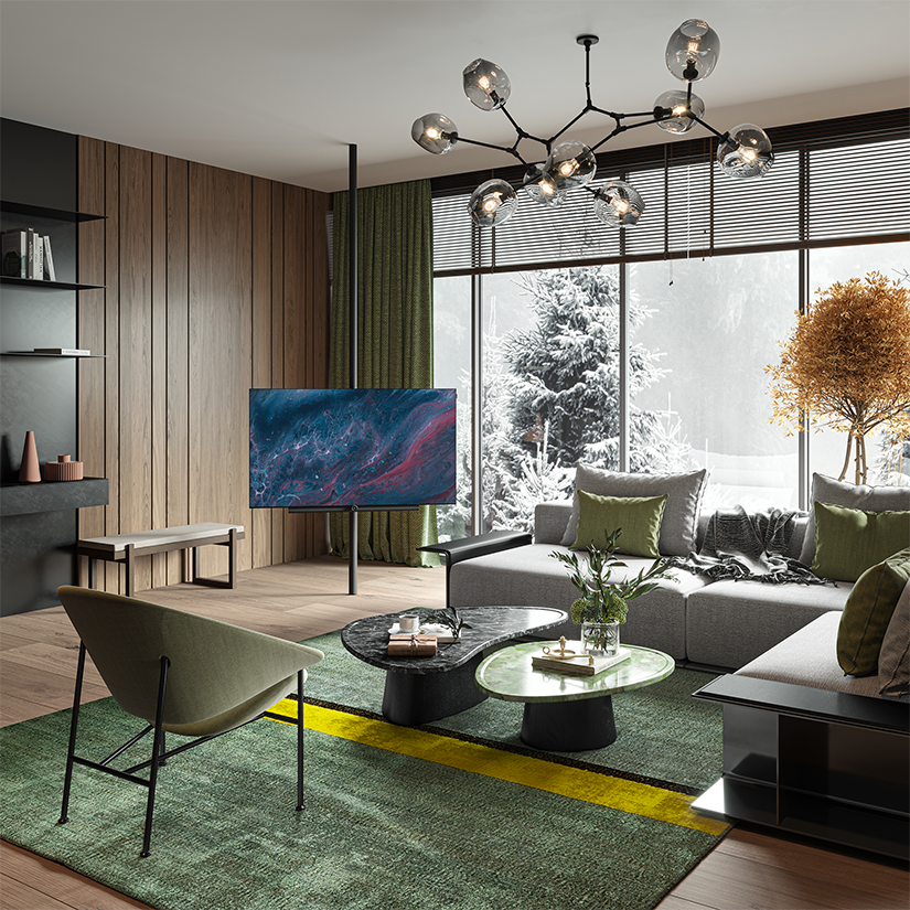 bild is OLED Television