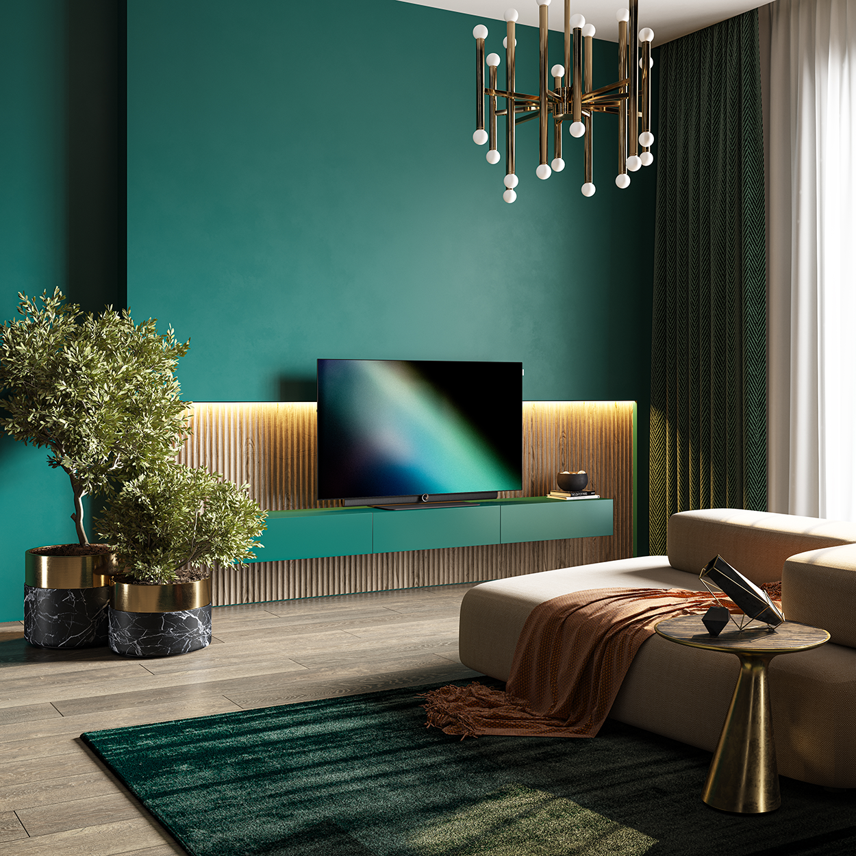 bild is OLED Television