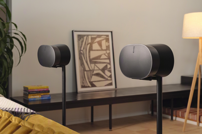 Sonos Era 300
